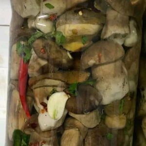 Porcini interi
