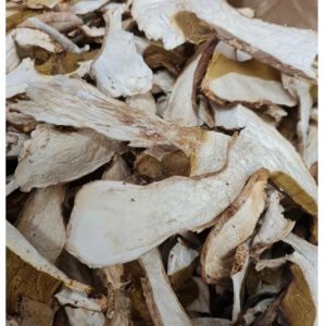 Funghi porcini secchi EXTRA 1 KG